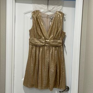 Eva Mendes sequence gold knee length. BNWT Great for that special occasion.